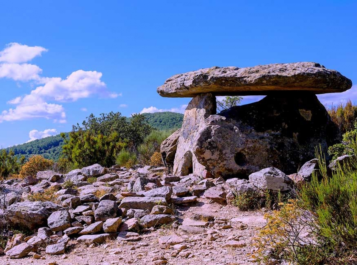 Una “scampagnata” nella Preistoria della Puglia – V. Landriscina