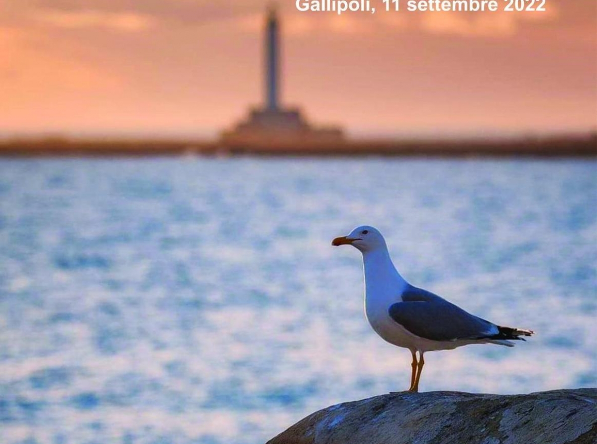 Oggi a Gallipoli passeggiata naturalistica sull'isola di Sant'Andrea