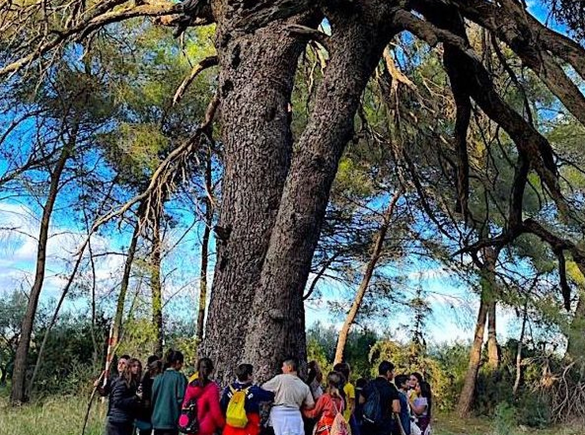 La Pineta Racconta: un interessante progetto scolastico a Palagiano - di Matteo Gentile